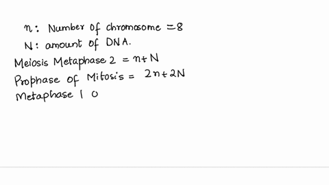 a-cell-has-8-chromosomes-in-metaphase-ii-of-meiosis-how-many-chromosomes-and-dna-molecules-will-be-present-per-cell-in-this-same-organism-at-the-following-stages-a-prophase-of-mitosis-b-meta-14765