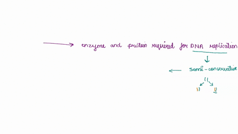 question-9-list-8-enzymesproteins-that-are-required-for-dna-replication-in-bacteria-and-fully-explain-the-function-of-each-one-describe-each-level-of-protein-structure-including-all-of-the-n-02078