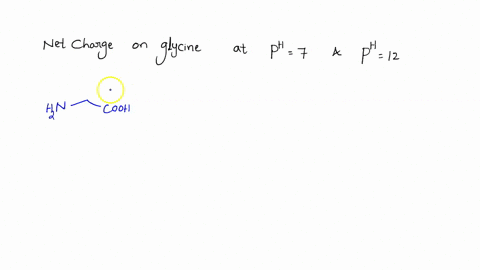 what-is-the-net-charge-on-the-amino-acid-glycine-at-ph-7-at-ph-12-35883