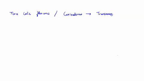 the-segment-of-large-intestine-located-between-the-hepatic-flexure-and-splenic-flexure-is-called-thg-asceriding-colon-cansverse-colon-dascending-colon-cecum-svgmold-colon-72824