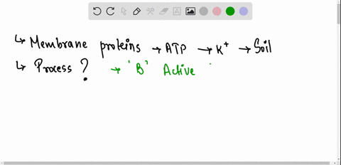 a-membrane-protein-in-a-plant-root-works-with-atp-fertilizer-solution-to-transport-phosphate-ions-from-weak-in-the-soil-and-concentrates-them-the-cells-cytoplasm-this-process-is-called-exocy-10488