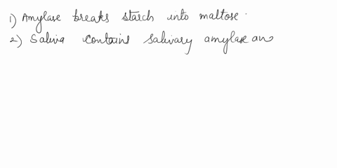enzyme-catalysis-experiment-enzvme-food-data-tables-table-sub-etance-starch-prasence-smbsirnce-resultlng-color-presonce-of-starch-posiiv-canimg-siarch-neqaiive-control-studcnthusi-food-produ-11015