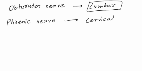 chapter-13-homework-interactive-questi-saved-help-save-exit-submit-3-drag-each-label-into-the-appropriate-category-to-identify-from-which-plexus-the-given-nerve-emerges-obturator-nerve-phren-11872