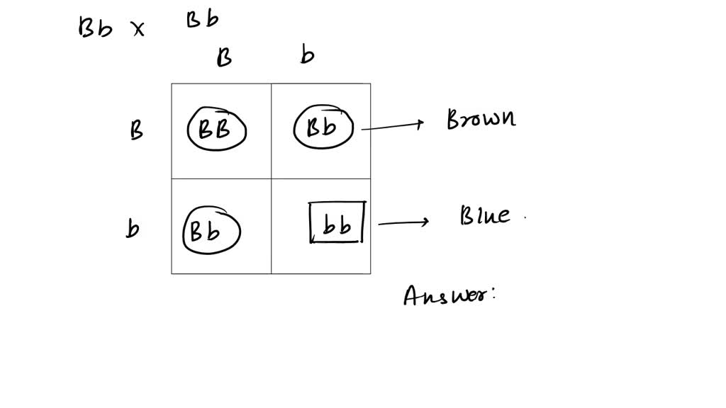 science-of-vision-how-do-our-eyes-enable-us-to-see-how-it-works