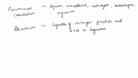 paramecium-caudatum-aquatic-unicellular-eukaryotic-heterotrophic-organism-utilizes-cilia-in-movement-rhizobium-a-unicellular-prokaryotic-organism-that-lacks-a-nuclear-envelope-capable-of-nit-48776