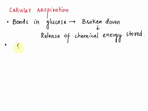 during-cellular-respiration-the-bonds-of-food-molecules-are-broken-so-energy-can-be-released-to-fuel-other-cellular-processes-in-order-for-this-to-occur-which-of-the-following-statements-mus-77453