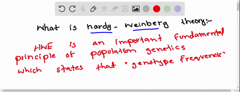 what-is-hardy-weinberg-theory