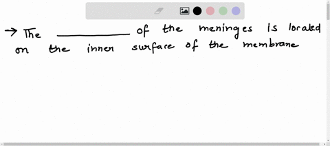 the-____-of-the-meninges-is-located-on-the-inner-surface-of-the-membrane-coming-into-contact-with-the-brain-and-spinal-cord-surface-arachnoid-layer-pia-mater-endo-mater-dura-mater-71876