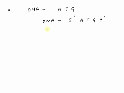 manacodon-inplet-10ase-apunicuiar-the-coding-scquence-uua-cau-ey-ua-oeyi-denendiny-46207