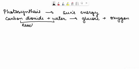the-process-of-photosynthesis-can-be-generally-expressed-by-carbon-dioxide-water-glucose-oxygen-the-process-of-cellular-respiration-can-be-generally-expressed-by-glucose-oxygen-carbon-dioxid-93414
