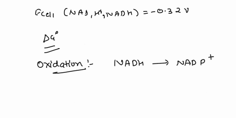 from-the-biological-standard-half-cell-potentials-eozh-ho-082-v-and-enadh-hnadh-032-v-calculate-the-standard-potential-arising-from-the-reaction-in-which-nadh-is-oxidized-to-nad-and-the-corr-67588