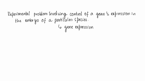 you-are-given-an-experimental-problem-involving-control-of-a-genes-expression-in-the-embryo-of-a-particular-species-one-of-your-first-questions-is-whether-the-genes-expression-is-controlled-72152