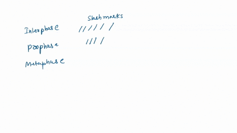 which-of-the-following-statements-about-water-is-not-true-a-it-releases-a-large-amount-of-heat-when-22094