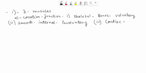 1-three-different-types-of-muscles-a-location-and-function-b-characteristics-unique-to-each-and-similar-regulation-how-are-they-regulated-or-controlled-voluntary-or-involuntary-i-which-branc-52691