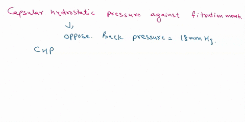 1-what-are-the-different-forces-or-pressures-found-associated-with-the-glomerulus-and-the-capsule-that-determine-the-net-filtration-pressure-nfp-and-gfrwhat-is-responsible-for-the-value-of-t-15878