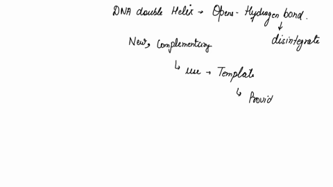 dna-replication-results-in-two-separate-dna-molecules-how-are-the-dna-molecules-at-the-end-of-the-process-related-to-the-dna-molecule-at-the-beginning-of-the-process-99791