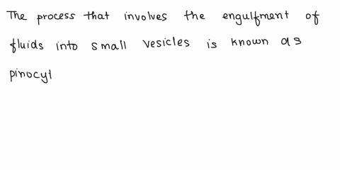 endocytosis-that-involves-the-engulfment-of-fluids-into-small-vesicles-refers-to-a-exocytosis-b-pinocytosis-phagocytosis-d-receptor-mediated-endocytosis-clear-my-choice-16215