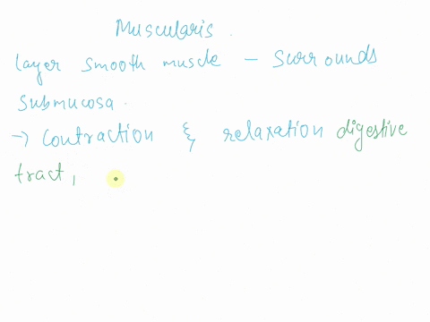 which-of-the-following-statements-is-incorrect-the-mucosa-is-a-serous-membrane-involved-in-protection-and-absorption-the-submucosa-contains-lymphatic-vessels-and-blood-vessels-involved-in-ab-93518