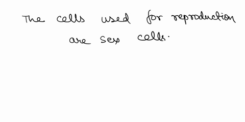 what-type-of-cells-are-used-for-reproduction-86132