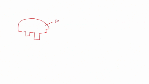 draw-an-enzyme-substrate-complex-below-and-label-the-active-site-_-enzyme-and-substrate_-92656
