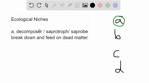 organisms-that-break-down-and-feed-on-organic-matter-are-____-decomposers-omnivores-synthesizers-producers-32671