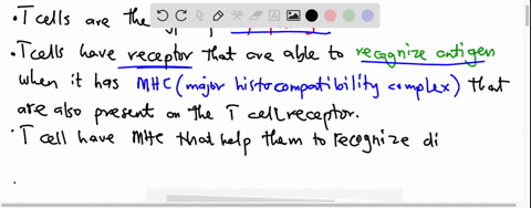compare-and-contrast-the-structures-of-t-cell-receptors-and-mhc-class-ii-molecules-relate-the-differences-in-structure-to-the-function-of-the-molecules-in-an-immune-response