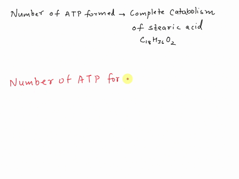 how-much-atp-is-formed-by-the-complete-catabolism-of-stearic-acid-c-18h-36o-2-01386
