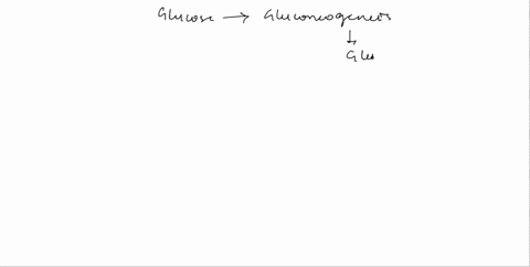 25-to-produce-one-molecule-of-glucose-by-gluconeogenesis-from-pyruvate-how-many-molecules-of-atp-equivalents-are-required-a-2-b-4-d-which-of-the-following-molecule-cannot-pass-the-mitochondr-65775