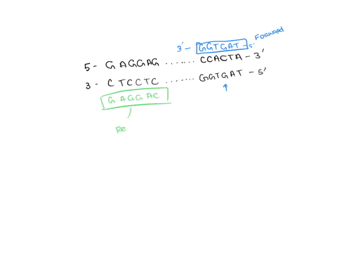 1-consider-the-following-dna-sequence-5-ggatcttacccgaggagtcgatcggcccactattatccgcat-3-3-cctagaatgggctcctcatctagccgggtgataataggcgta-5-you-want-t0-amplify-the-sequence-red-using-pcr-4-write-out-15055