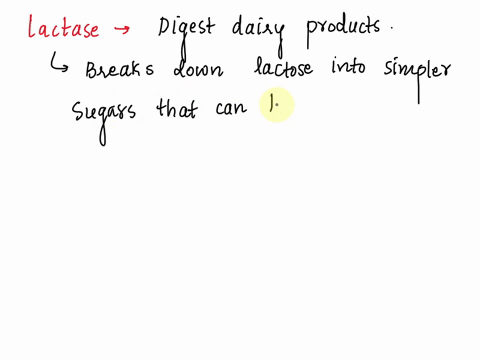 why-is-the-enzyme-lactase-necessary-to-digest-dairy-products-19838
