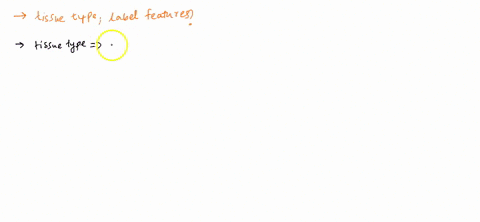 correctly-identify-this-tissue-type-and-then-label-the-features-of-the-tissue-areolar-connective-issue-elastic-fibers-reticular-fibers-fibroblasts-reticular-connective-tissue-leukocytes-56875