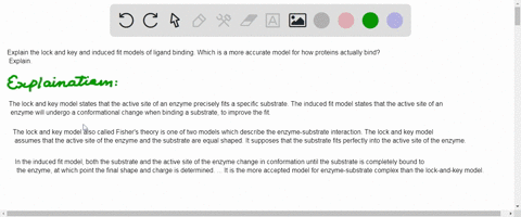 explain-the-lock-and-key-and-induced-fit-models-of-ligand-binding-which-is-a-more-accurate-model-for-how-proteins-actually-bind-explain-09232