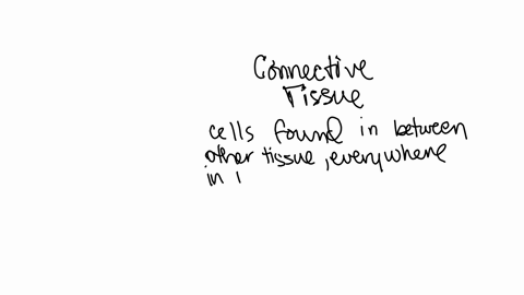 which-of-the-following-does-not-describe-connective-tissue-cells