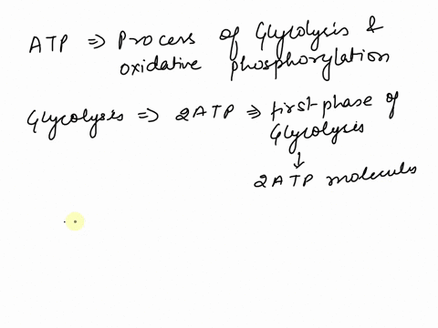 why-is-there-a-difference-between-the-total-amount-of-atp-produced-and-the-net-amount-of-atp-produced-12204