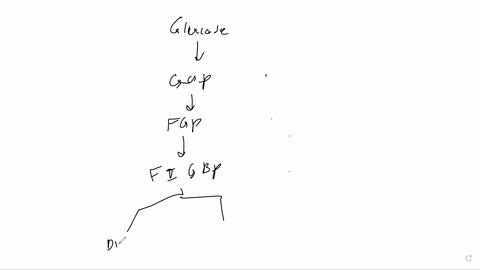 a-outline-the-chemical-transformations-that-occur-in-glycolysis-and-identify-which-of-these-stcps-arc-thc-most-and-the-least-energetically-favorable_-how-arc-thc-thermodynamically-unfavorabl-49525