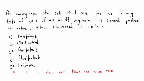 an-embryonic-stem-cell-that-can-give-rise-to-any-type-of-cell-of-an-adult-organism-but-cannot-produc-17875