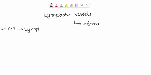lymphatic-vessels-form-a-one-way-network-lymphatic-capillaries-collecting-vessels-trunks-and-ducts-in-which-fluid-flows-only-toward-the-heart-ducts-eventually-empty-into-the-blood-vascular-s-41994