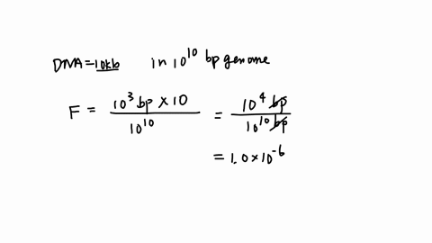 part-a-what-fraction-of-the-genome-is-represented-by-this-sequence-that-is-what-is-the-fractional-abundance-of-this-sequence-in-this-genome-express-your-answer-to-two-significant-figures-azd-79194