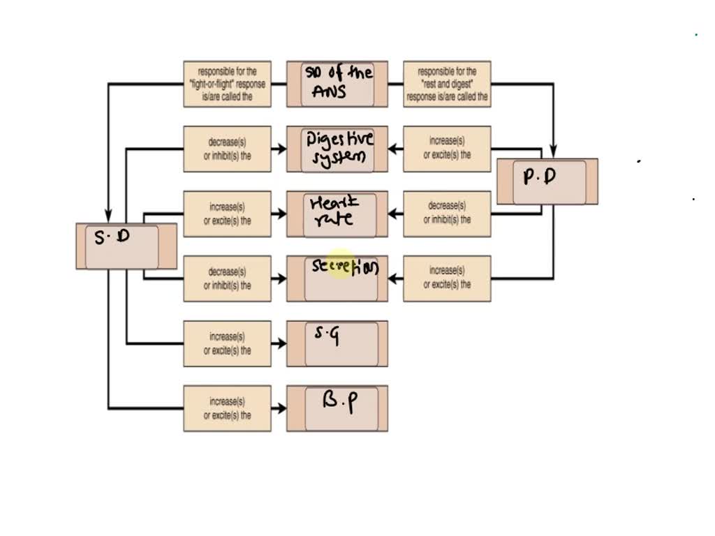 SOLVED: Complete the Concept Map to compare and contrast the effects of ...