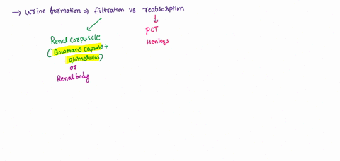 explain-the-differences-between-filtration-and-reabsorption-in-the-kidney-66548