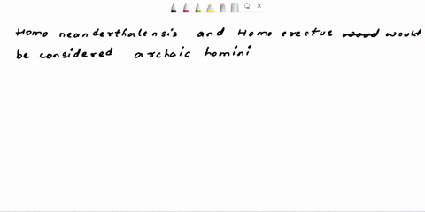 which-of-the-following-groups-would-be-considered-archaic-hominins-australopithacus-africanus-homo-neaderthalensis-homo-sapiens-homo-erectus-55754