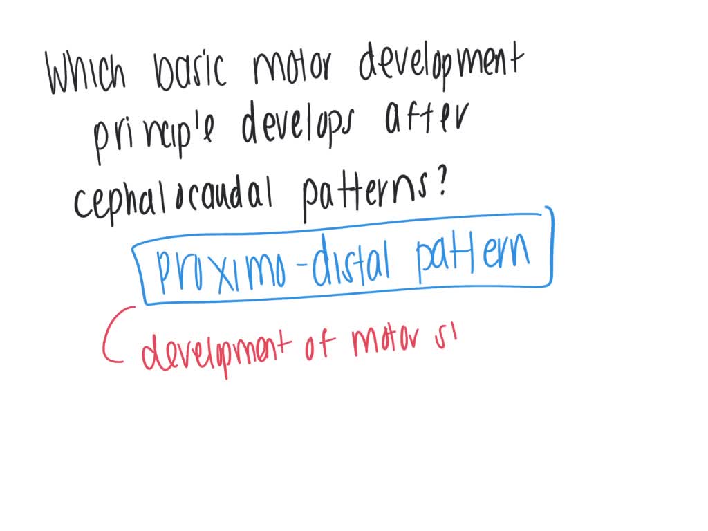 Own Words Orderly Development Pattern SOLVED: Which basic motor development principle develops after ...