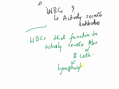 which-of-the-following-white-blood-cells-wbcs-functions-to-actively-secrete-antibodies-group-of-answer-choices-memory-b-cells-b-cells-cytotoxic-t-cells-t-cells-41639