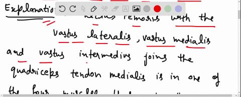 of-the-following-cranial-dorsal-muscles-which-does-not-insert-into-the-patellar-tendon-0-a-rectus-femoris-b-sartorious-0-c-vastus-lateralis-dvastus-medialis-o-e-vastus-inrermedius-86023