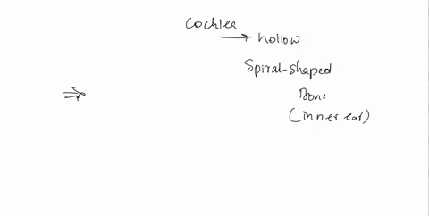 20-which-is-false-about-efferent-connections-in-the-cochlea-a-they-mostly-contact-inner-hair-cells-b-they-mostly-contact-outer-hair-cells-c-they-contact-a-diffuse-number-of-outer-hair-cells-64964