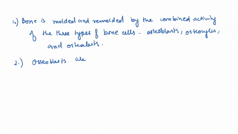 osteoporosis-result-from-which-of-the-followings-a-decline-of-osteoblast-activity-while-osteoclast-activity-continues-at-expected-levels-a-decline-of-osteoclast-activity-while-osteoblast-act-76285