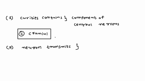 1-which-of-the-following-cavities-contains-a-component-of-the-central-nervous-system-a-abdominal-c-cranial-b-pelvic-d-thoracic-2-which-part-of-a-neuron-transmits-an-electrical-signal-to-a-ta-79539