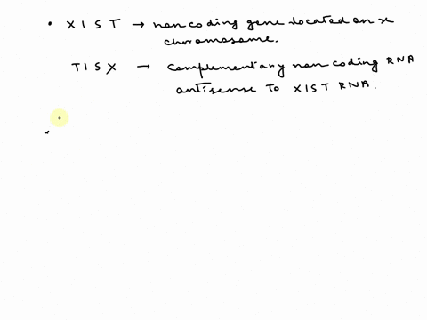 answer-the-following-questions-regarding-x-inactivation-what-are-xist-and-tisx-1-pt-46xx-46xy-47xxy-49xxxxx-49xxxxy-fot-e-eteretticn-o-asetor-celhrenar-the-image-the-right-is-gel-blot-of-rna-25307