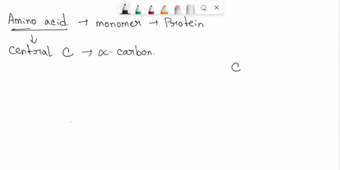 what-two-functional-groups-are-bound-to-the-central-carbon-of-every-free-amino-acid-monomer-a-an-r-g-71363
