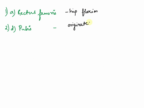 24which-muscle-of-the-quadriceps-is-responsible-for-flexion-of-the-hip-ao-rectus-femoris-bo-vastus-medialis-co-vastus-lateralis-do-vastus-intermedialis-25the-is-the-origin-of-the-rectus-abdo-83028